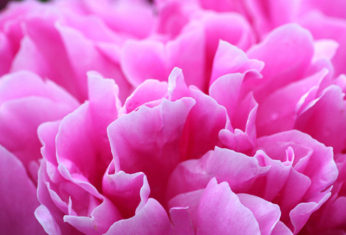 1692552964124719.png image.png