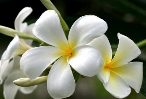 1692554626112743.png image.png