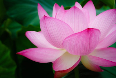 ​人生如戏幽默句子 人生如戏的幽默句子(精选60句)