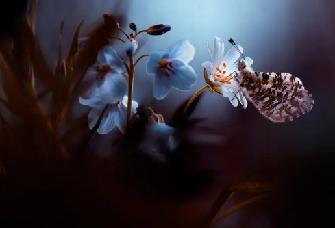 1692557285129801.png image.png
