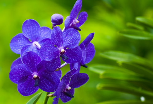 1692557950126943.png image.png