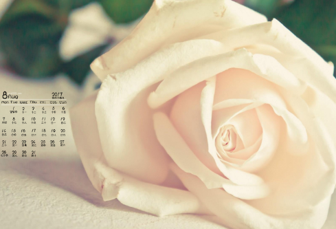 1692560108108048.png image.png