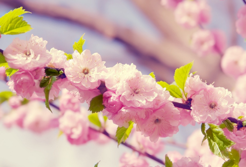 1692560772537682.png image.png