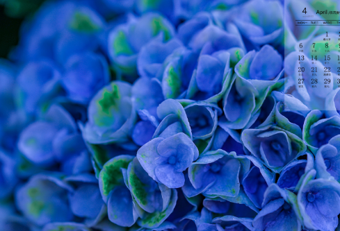 1692560938440731.png image.png