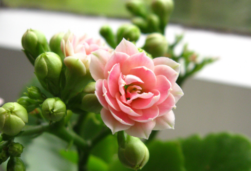 1692566418100113.png image.png