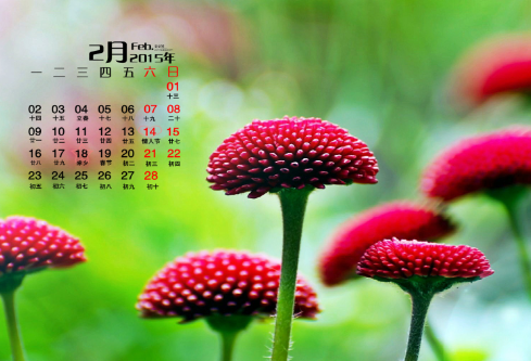 1692566917352731.png image.png