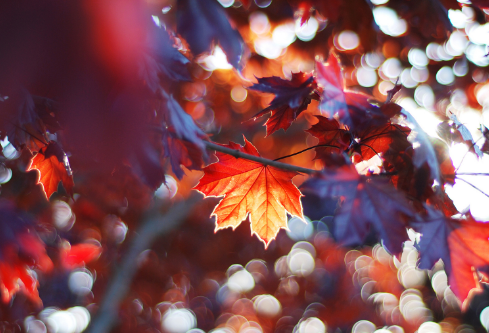 1692568247133480.png image.png