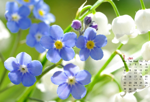 1692570242827415.png image.png