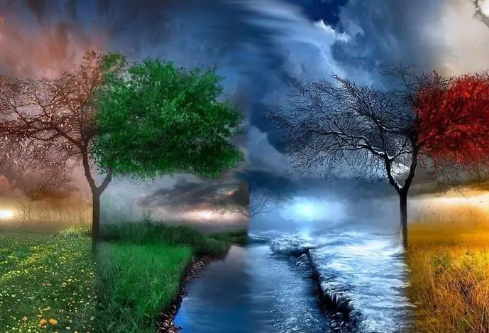 1692573232503902.png image.png
