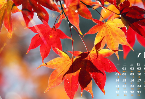 1692575391102802.png image.png
