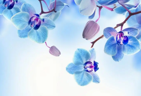 1692582202428510.png image.png