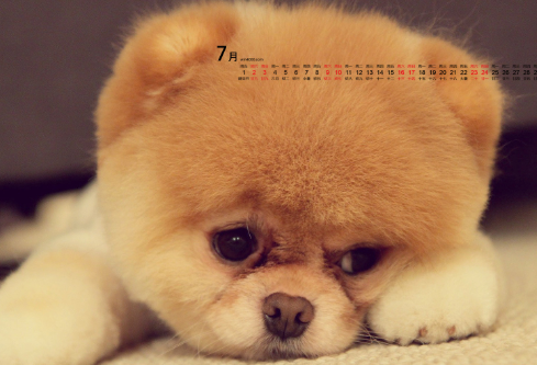 1692584030595559.png image.png