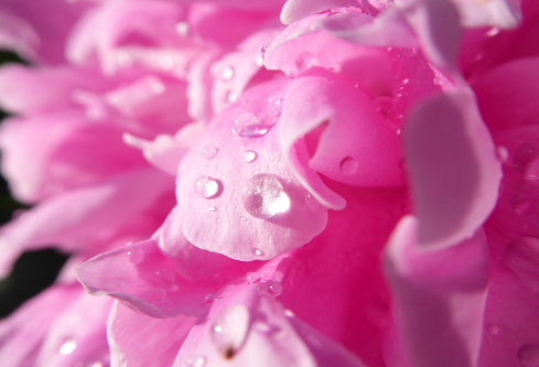 1692586190218042.png image.png