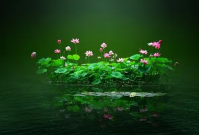 ​幽默的句子让人笑喷 幽默短句子大全(精选49句)