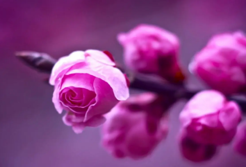 1692588681523696.png image.png