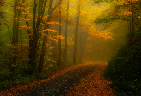 1692589678117278.png image.png