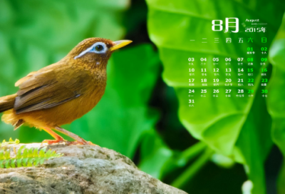 ​吃药的幽默句子 吃药续命的幽默句子(精选33句)