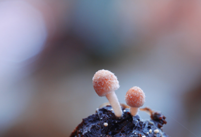 ​少抽烟的贴心句子 少抽烟的幽默句子(精选19句)