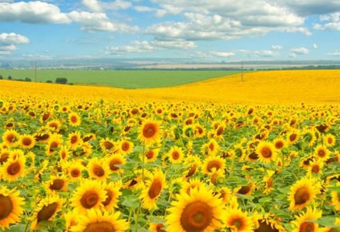 1692598811134667.png image.png