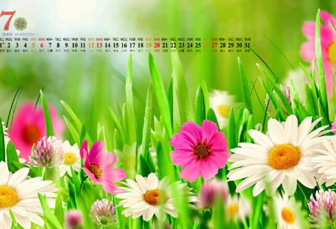 1692599309466120.png image.png