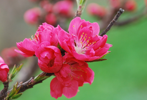 1692600803125033.png image.png