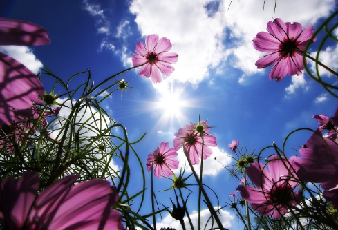 1692637296745998.png image.png