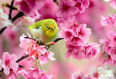 1692638791606748.png image.png