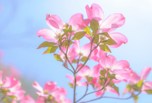 1692639289823800.png image.png