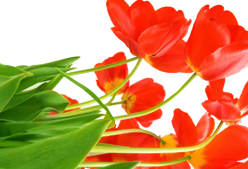 1692646100124529.png image.png