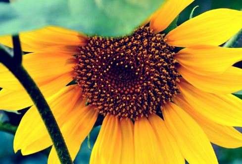 1692647595843422.png image.png