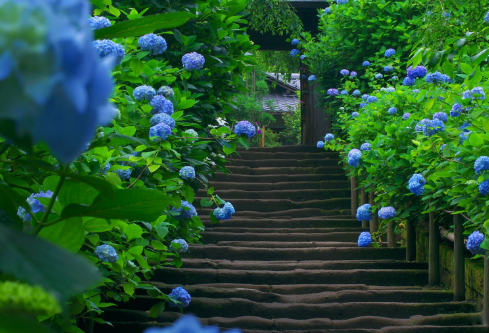 1692648923123501.png image.png