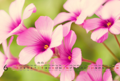 ​朋友圈晚安祝福一句话短句-51句