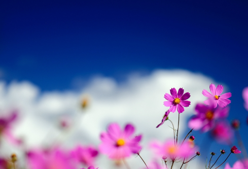 1692651248100505.png image.png