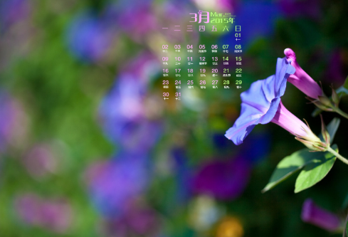 1692653408127417.png image.png