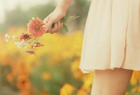 1708108580294466.png image.png