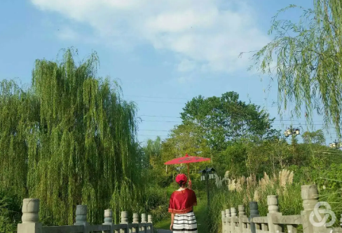 1708113912101481.png image.png